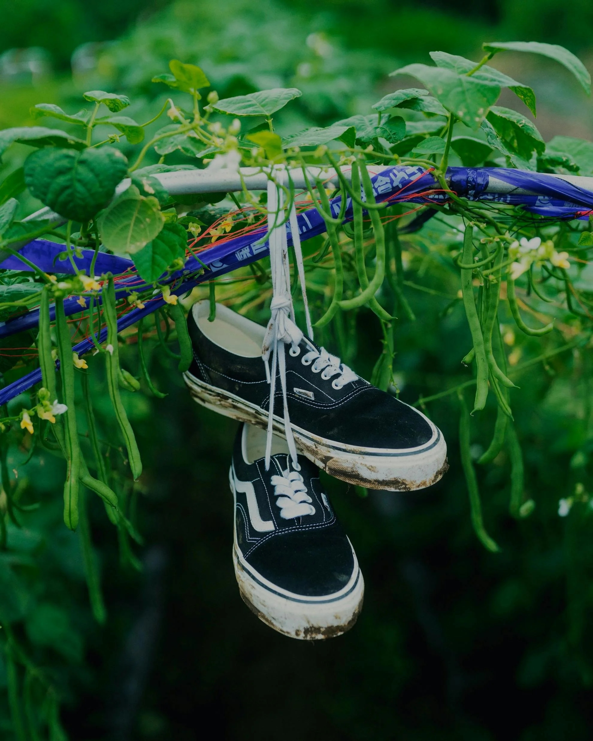 BEAMS превратил две культовые модели Vans в одного безумного Шреддера