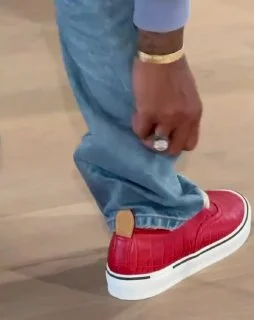 Louis Vuitton уличает Vans в плагиате