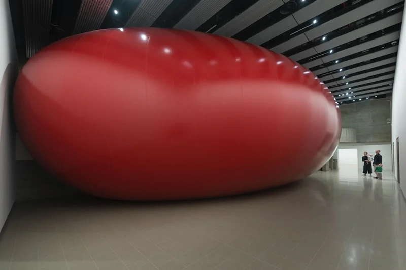 Ретроспектива Аниша Капура в Hayward Gallery: кровь и плоть