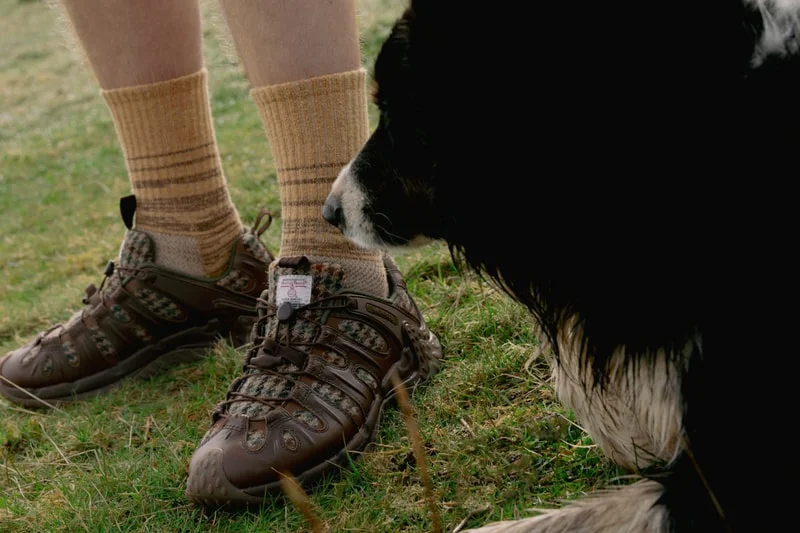 Merrell и Harris Tweed объединились для коллекции обуви из ручной ткани