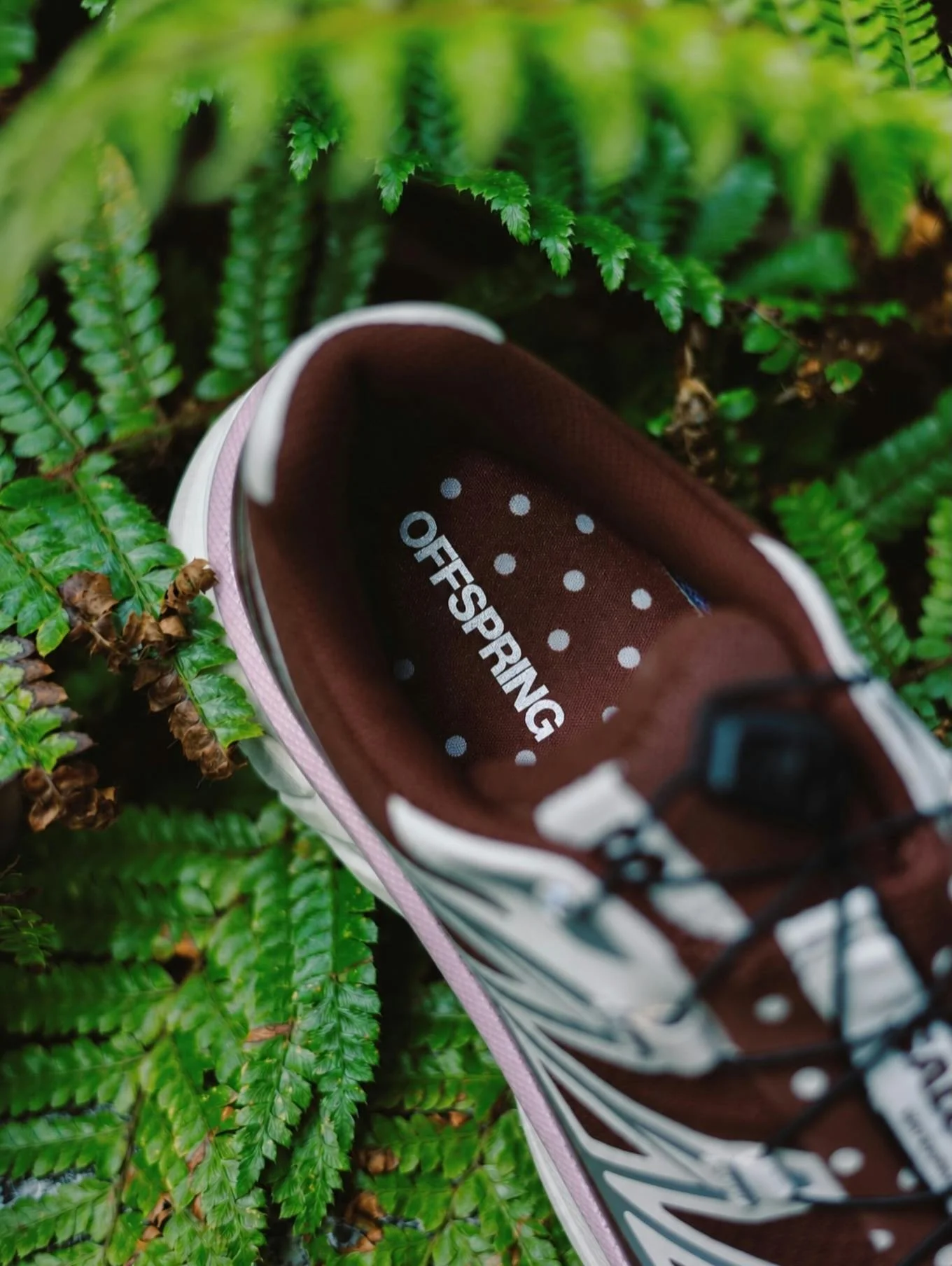 Сказочные кроссовки Salomon GORE-TEX XT-6: стиль и прочность в одном флаконе