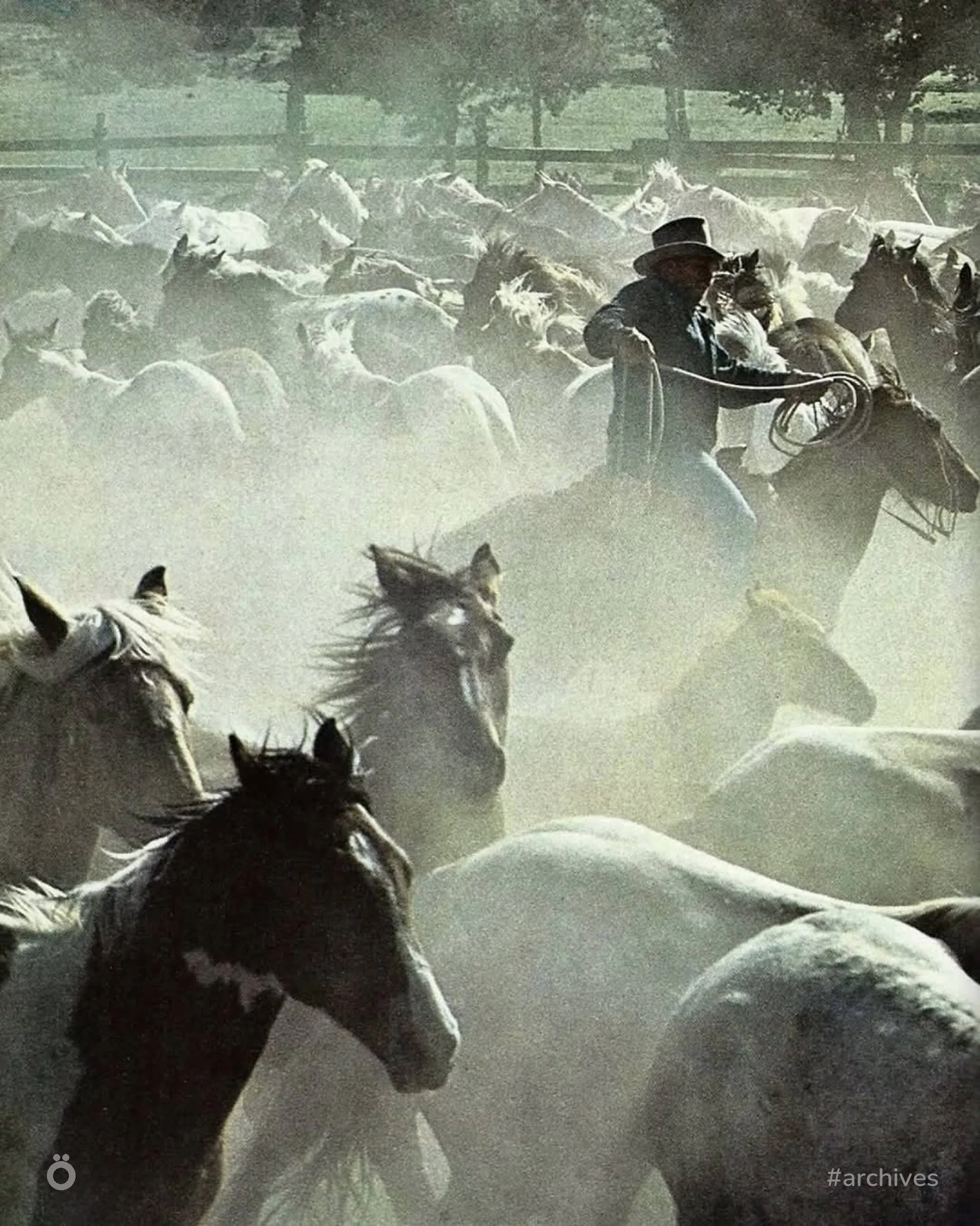 Сканы страниц из винтажных журналов National Geographic, часть 3
