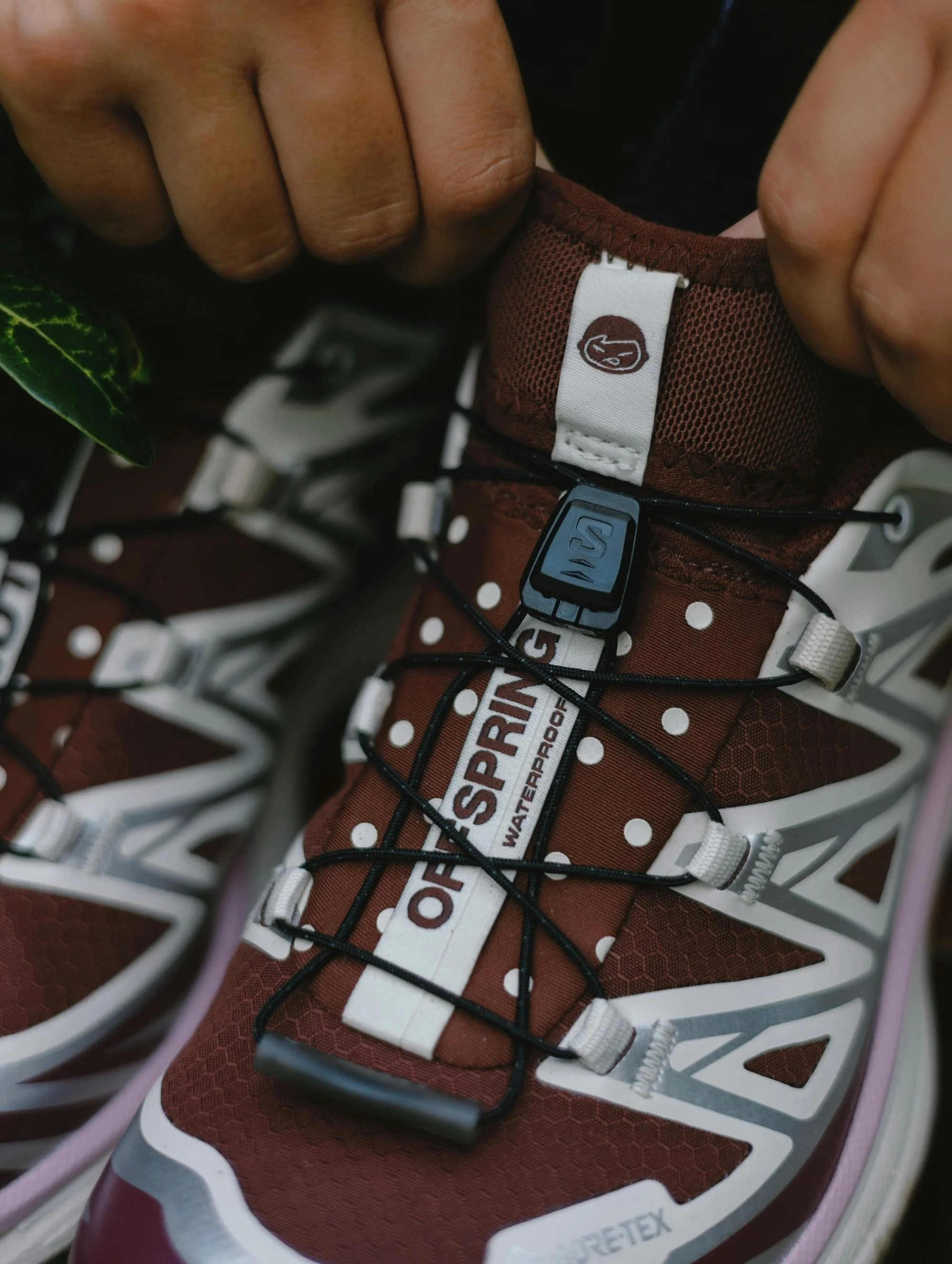 Сказочные кроссовки Salomon GORE-TEX XT-6: стиль и прочность в одном флаконе