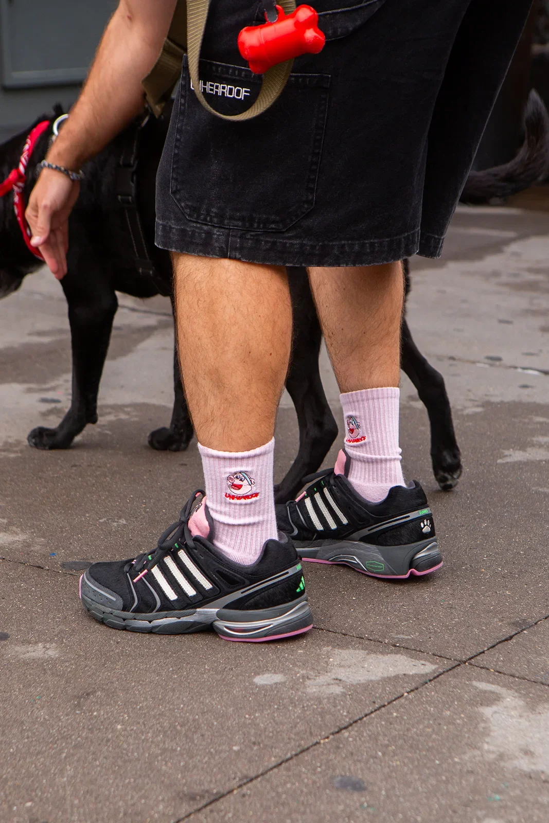 adidas Adistar Control 5 “Собачий Бегун” выходит зимой 2026